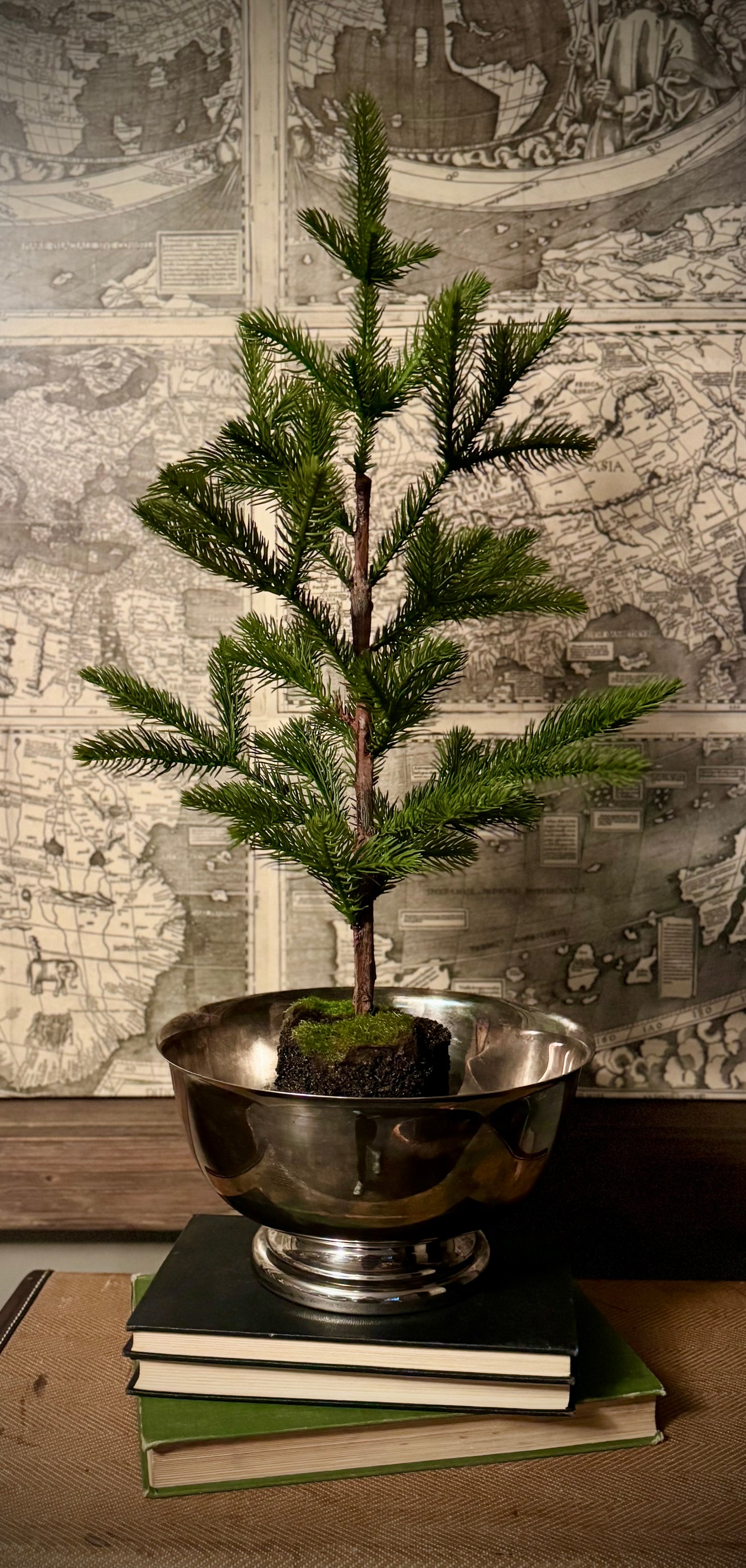Classic Pine Tree in Silver Bowl