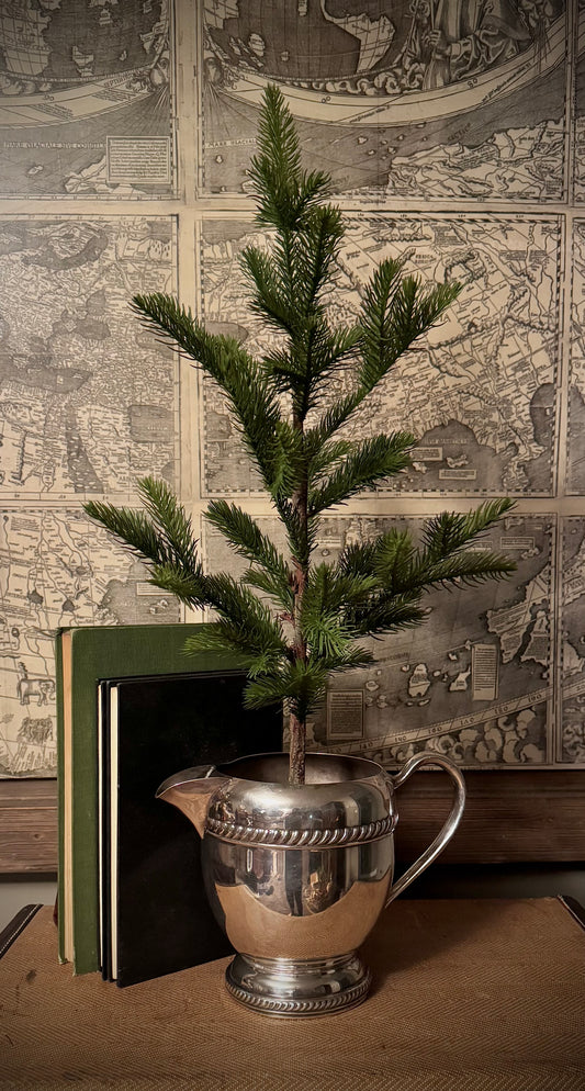 Antique Silver Pitcher with Tree