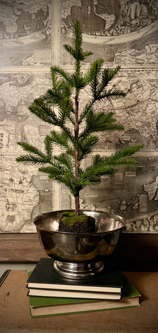 Classic Pine Tree in Silver Bowl