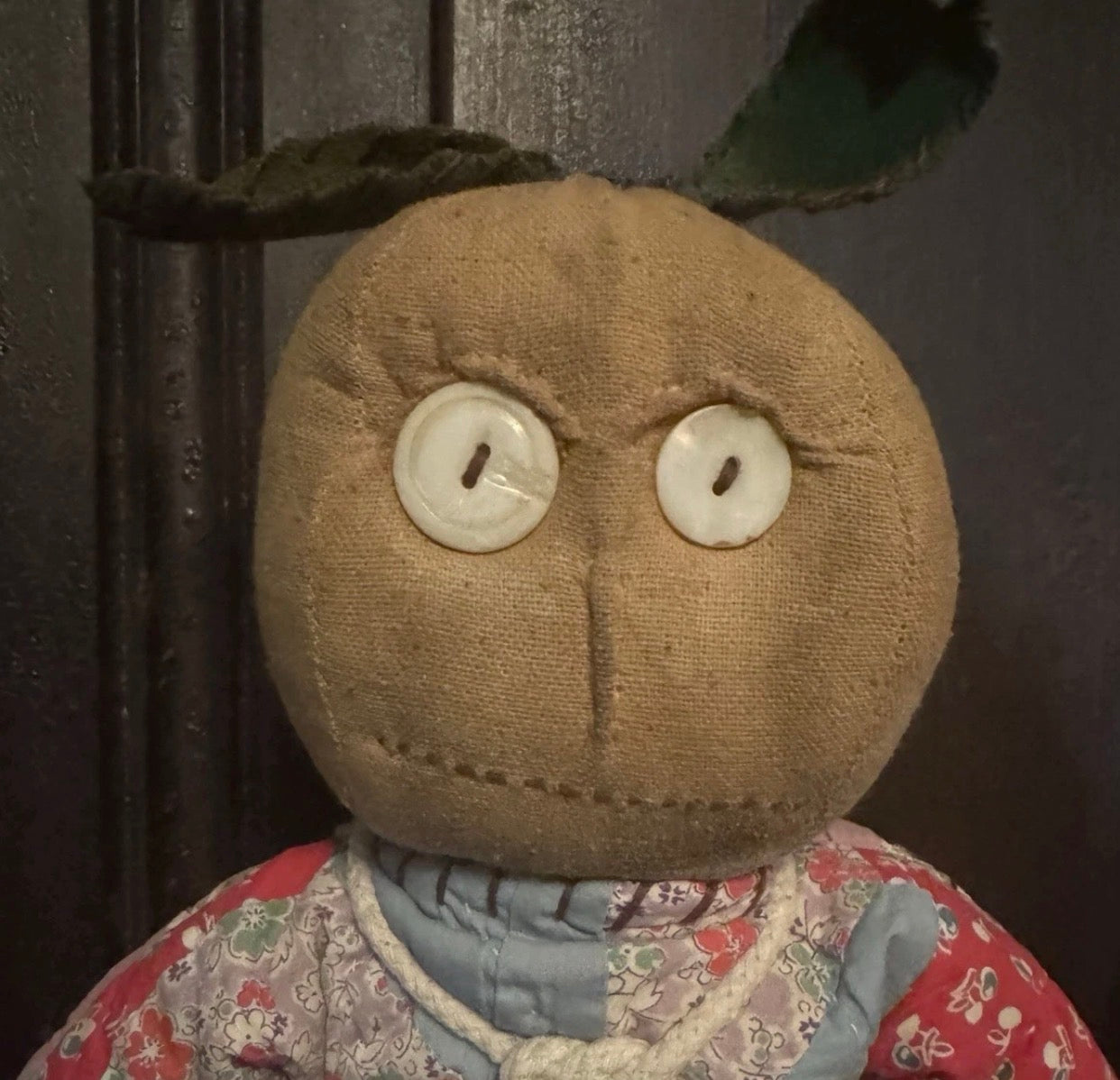DARLING VEGETABLE VERA